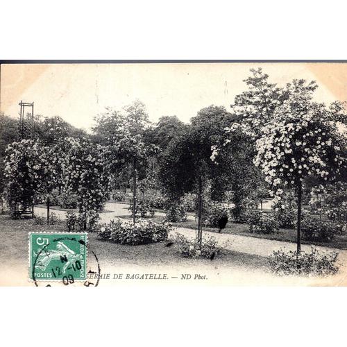 Carte Postale De Paris : Bois De Boulogne, Roseraie De Bagatelle