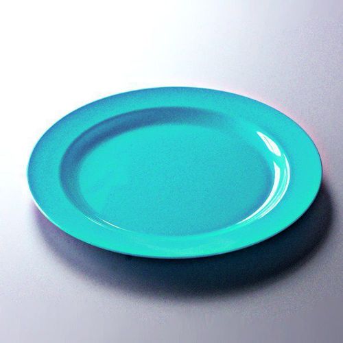 12 Assiettes Rondes Réutilisables Ø24cm Turquoise