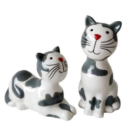 Set Et Poivre Couple De Chats