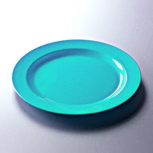 12 Assiettes Rondes Réutilisables Ø19cm Turquoise