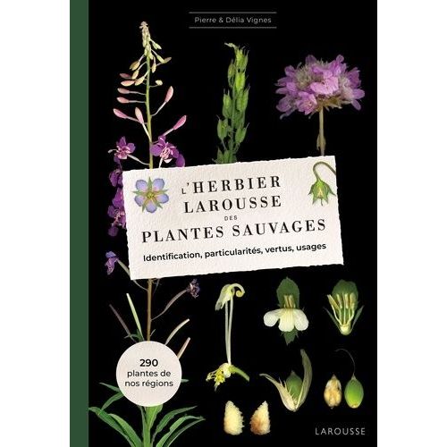 L'herbier Larousse Des Plantes Sauvages - Identification, Particularités, Vertus, Usages
