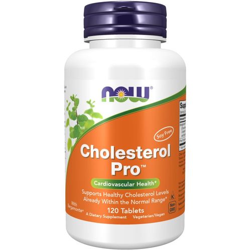 Cholesterol Pro 120 Tablets 