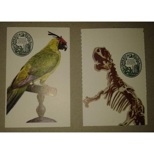 2 Billets Tickets Museum D'histoire Naturelle Palontologie/Anatomie Compare Et Grande Galerie De L'volution Allosaurus Etperruche Cornue