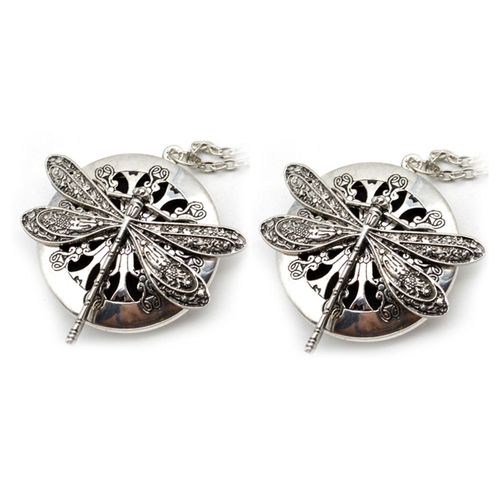 2 Pc Argent Ancien Aromathrapie Libellule Collier Pendentif Diffuseur