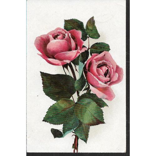 2 Roses Rouges