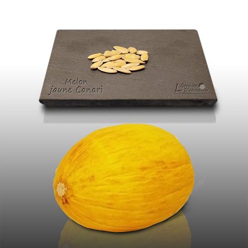 20 Graines  Semer - Le Grenier D'abondance - Melon Jaune - Melon Canari - Cucumis Melo