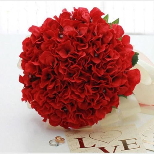 30 Pièces Graines D'hortensia Les Variétés De Fleurs Uniques En Forme