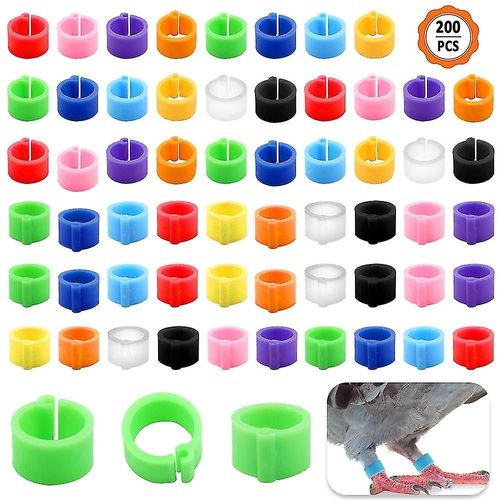 100 PCS Anneaux De Pied Volaille Accessoires En Cage Jambe