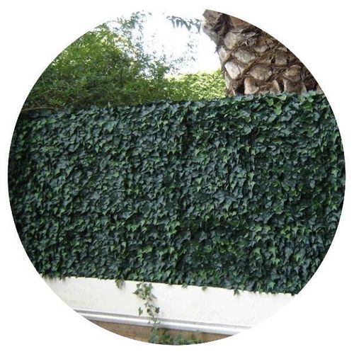 Plaques Clipsables De Feuillage Artificiel 3m² (Lot De 12) Lierre