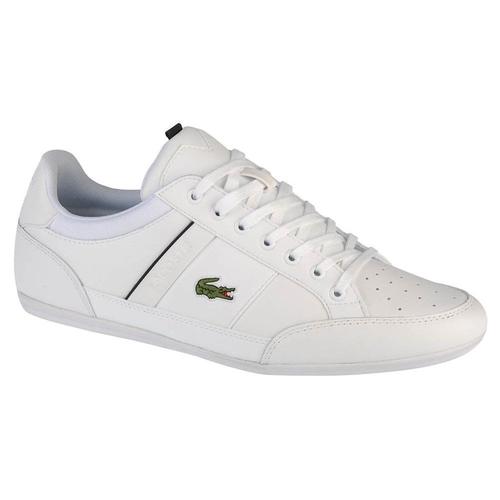 Baskets Basses Lacoste Chaymon