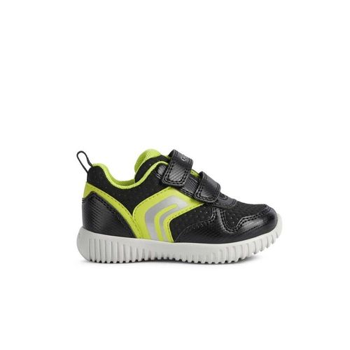 Baskets Basses Geox Waviness