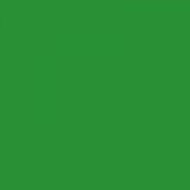 Cahier - A4 (21x29,7cm) - Grands carreaux - 80 pages - couverture en  polypro bleu ciel - à spirale - Miquelrius - Cahier Grand Format - Achat &  prix