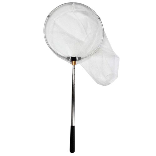 Filet À Insectes À Poignée En Acier Inoxydable, Pour Enfants, Capture De Papillon, Libellule, Poisson, Tappons, Activité De Plein Air, Pêche De Jardin