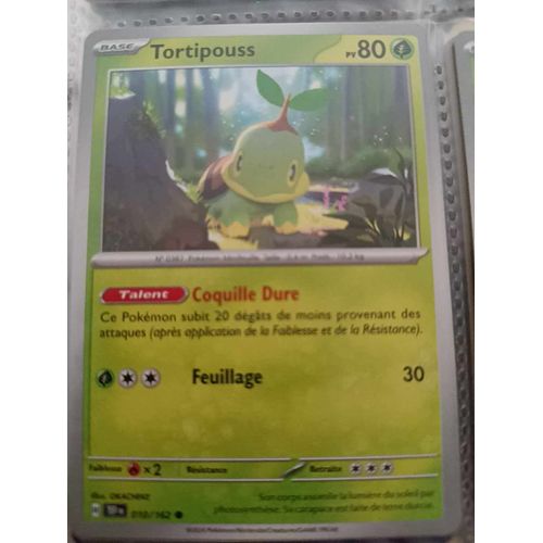 Commune - Pokemon - Forces Temporelles - Tortipouss 10/162