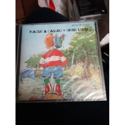 Flaque Et Caillou