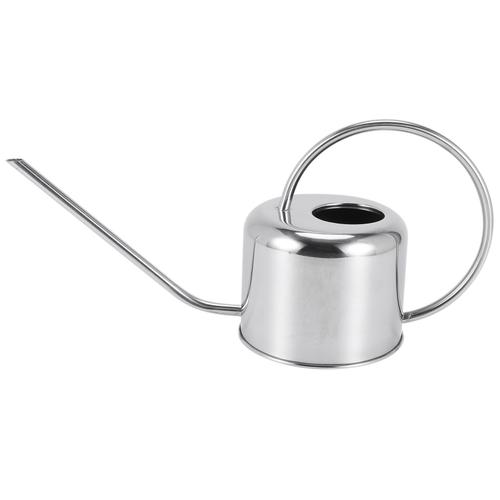 Arrosoir de jardinage européen, Pot en acier inoxydable 900Ml, douche domestique, petite fleur