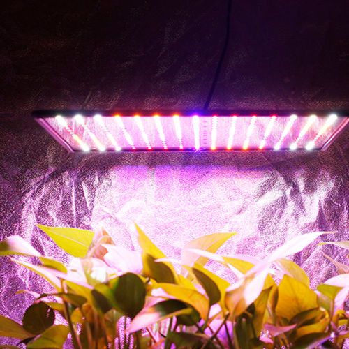 Lampe Horticole De Croissance Led, Panneau Lumineux Pour Culture Intérieure De Plantes Et Herbes