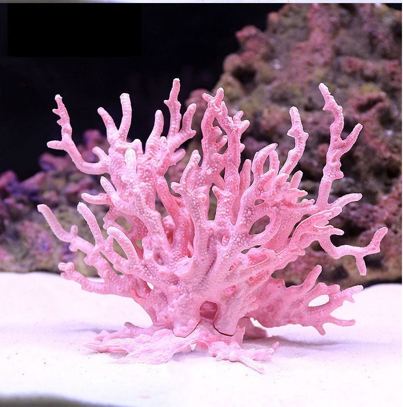 Résine Décorative Rose Corail Pour Aménagement Paysager D'aquarium