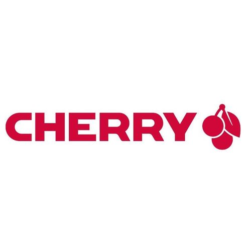 CHERRY DW 9100 SLIM tastiera RF senza fili + Bluetooth Ceco, Slovacco Mouse incluso Nero