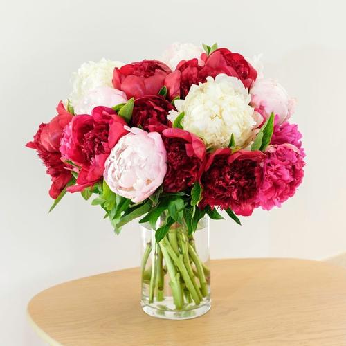 Bouquet de pivoines - Livraison Fleurs en 24H - Interflora | Rakuten