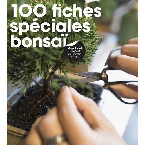 Bonsaï