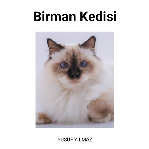 Birman Kedisi
