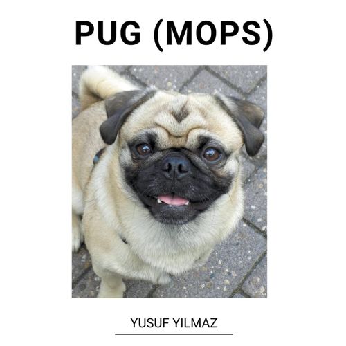 Pug (Mops)