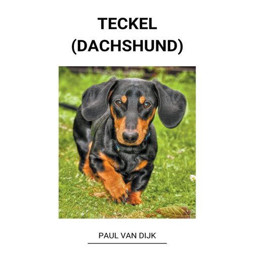 Teckel (Dachshund)