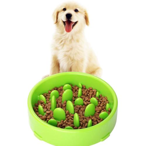 Gamelle D'alimentation Lente Pour Chiens, Slow Feeding Conception Anti-Dérapante Fun Interactive Nourrir Les Chats Et Les Chiens Pour Bol, Favorise Une Alimentation Saine Et Une Digestion Lente(Vert)