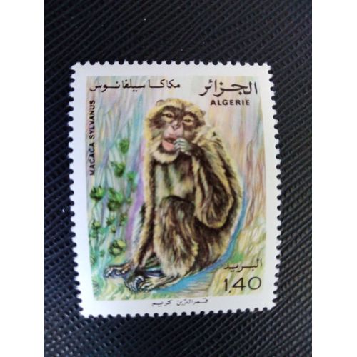 Timbre Algerie Yt 745 Macaque De Barbarie (Macaca Sylvanus) 1981 ( 110406 )