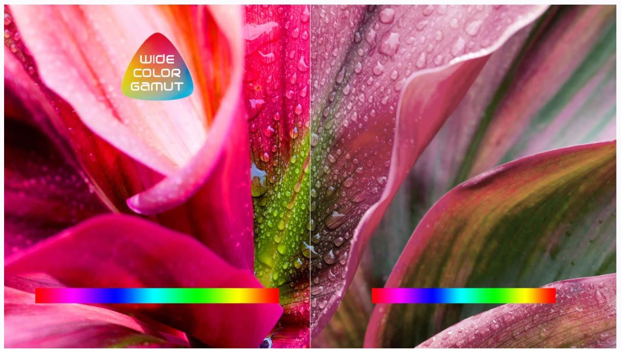 null image 2 | Rakuten