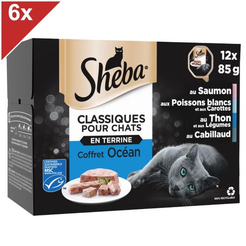 Sheba Classiques Pour Chats 72 Barquettes Terrine Coffret Océan 85g (6x12)