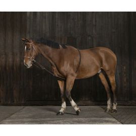 Enrênement Norton Extenseur Doux - Couleur : Marine/Noir, Taille : Cheval