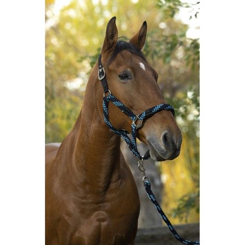 Licol + Longe Norton "Tressé" - Couleur : Turquoise/Marine/Noir, Taille : Poney