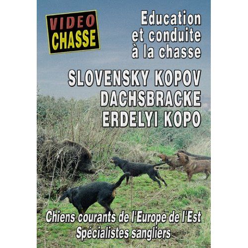 Slovensky Kopov Dachsbracke Erdelyi Kopo