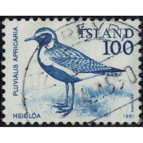 Islande 1981 Oblitéré Used Oiseau Pluvialis Apricaria Pluvier Doré Y&t Is 521 Su