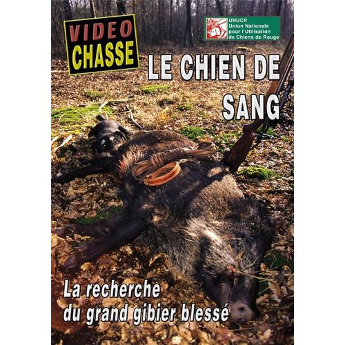 Le Chien De Sang : La Recherche Du Grand Gibier Blessé