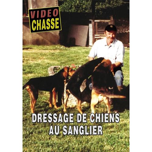 Dressage De Chiens Au Sanglier