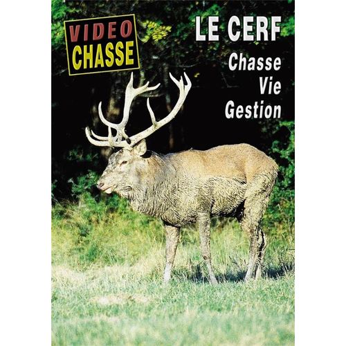 Le Cerf - Chasse, Vie, Gestion