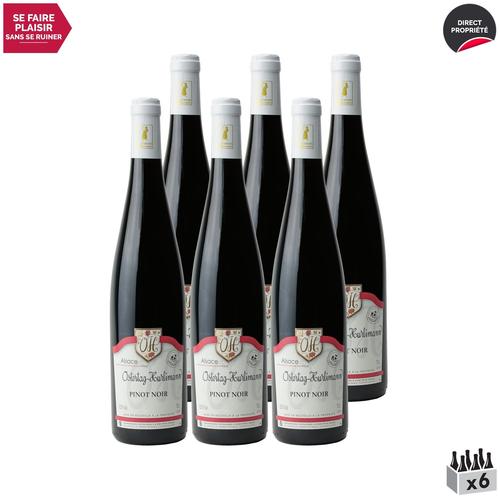 Domaine Ostertag-Hurlimann Alsace Pinot Noir Rouge 2021 X6