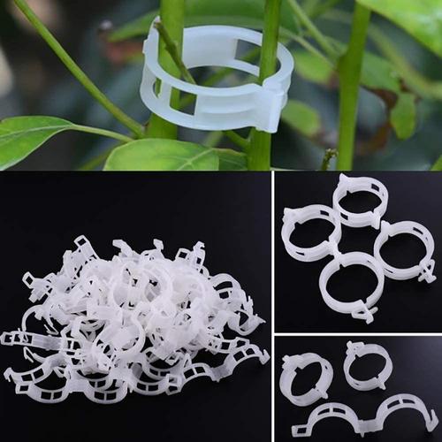 200 Pcs Jardin Plantes Clips Fleur Clip Idéal Pour Sécuriser Les Plantes Au Plante Prend En Charge