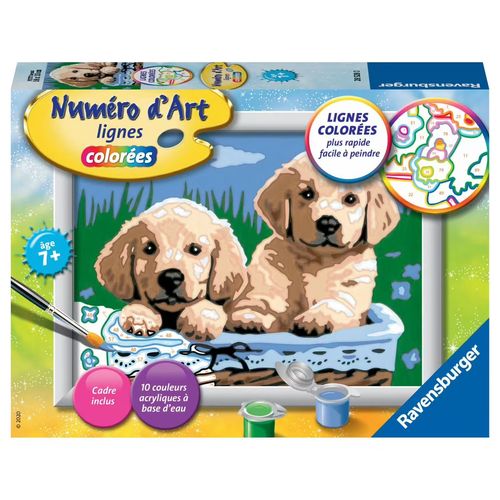 Numéro D'art Lignes Colorées - Petit - Chiots - Avec Cadre, Peinture Et Pinceau V