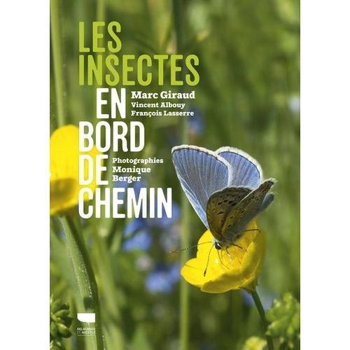 Les Insectes En Bord De Chemin - Petits Mais Grandioses Les Insectes Méritent Notre Attention