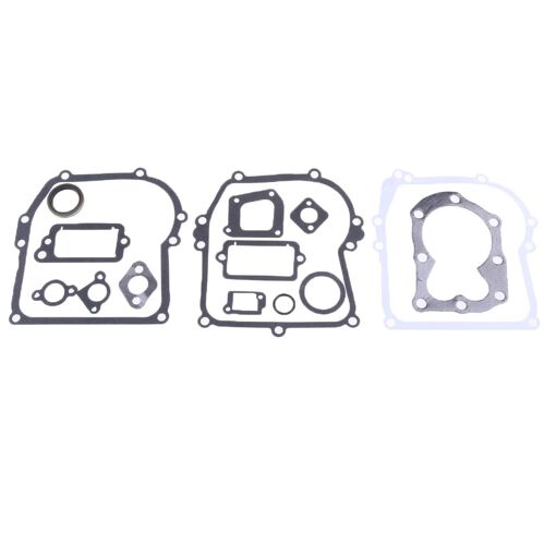 1 Ensemble Fiable 590777 Moteur Reconstruire Kit De Joint Fit 79420...