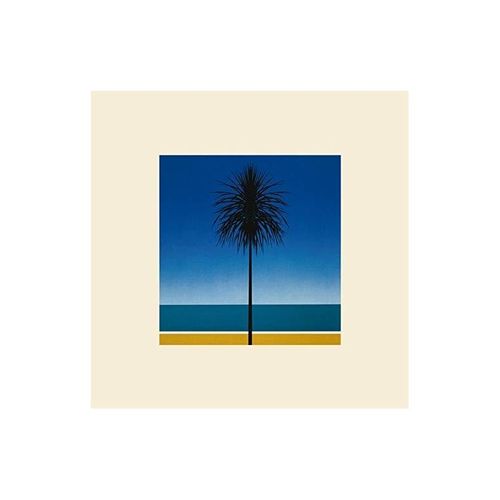 The English Riviera - Vinyle 33 Tours