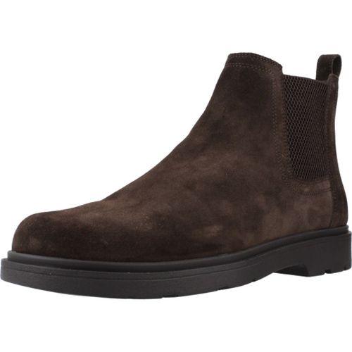 Chaussures Geox U Spherica Colour Marron