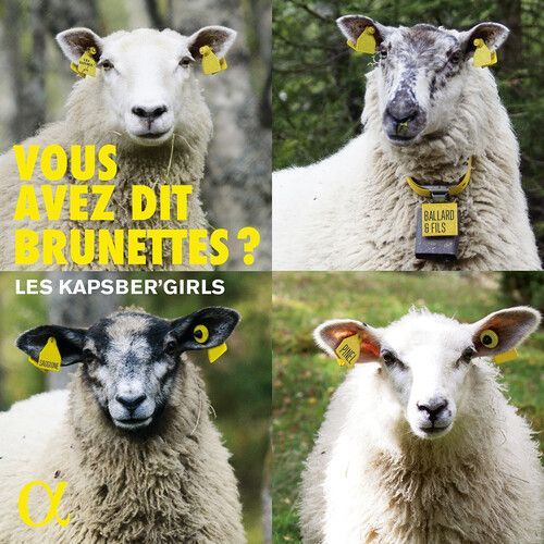 Various Artists - Vous Avez Dit Brunettes [Cd]