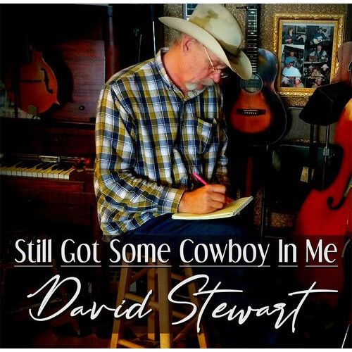 David Stewart - Still Got Some Cowboy In Me [Cd]
