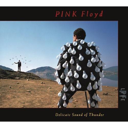 Pink Floyd - Delicate Sound Of Thunder (Live) [Cd] Digipack Packaging