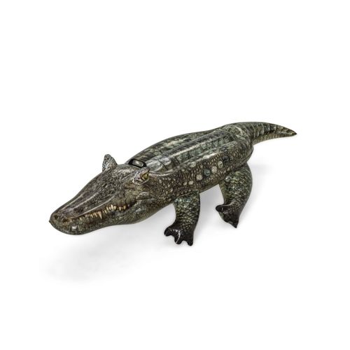 Reptile Chevauch 193 X 94